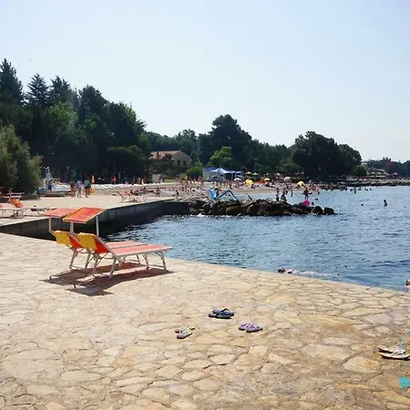Apartman Roko